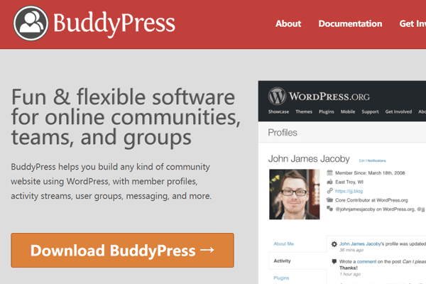 BuddyPress 9.0.0将传统小工具转换为区块特色图