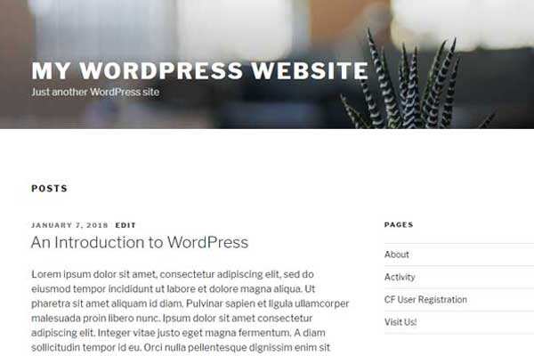WordPress-front-page