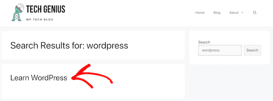 WordPress文档搜索结果展示