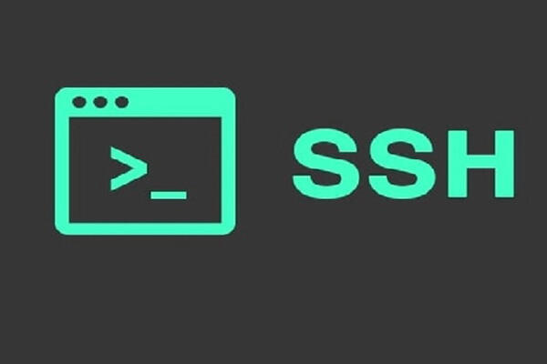 如何解决无法通过SSH或SFTP连接服务器问题特色图