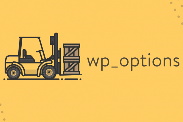 wp-options自动加载数据清理