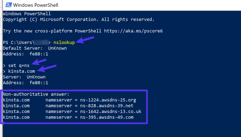 如何使用Windows PowerShell检查名称服务器