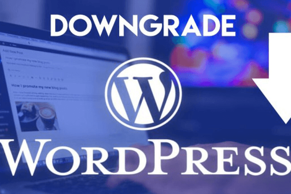 WordPress网站降级