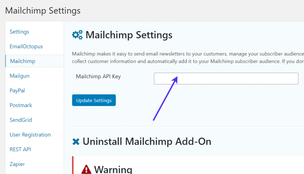Mailchimp的API密钥字段