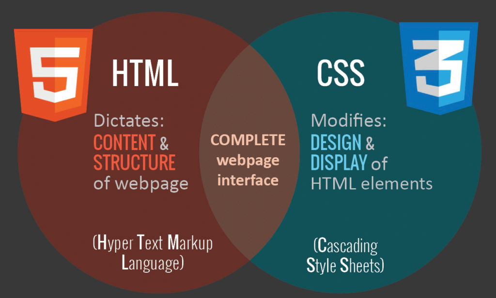 HTML与CSS