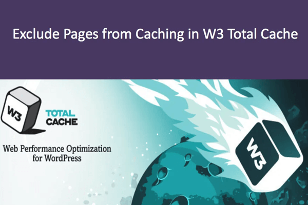 W3 Total Cache缓存例外列表设置