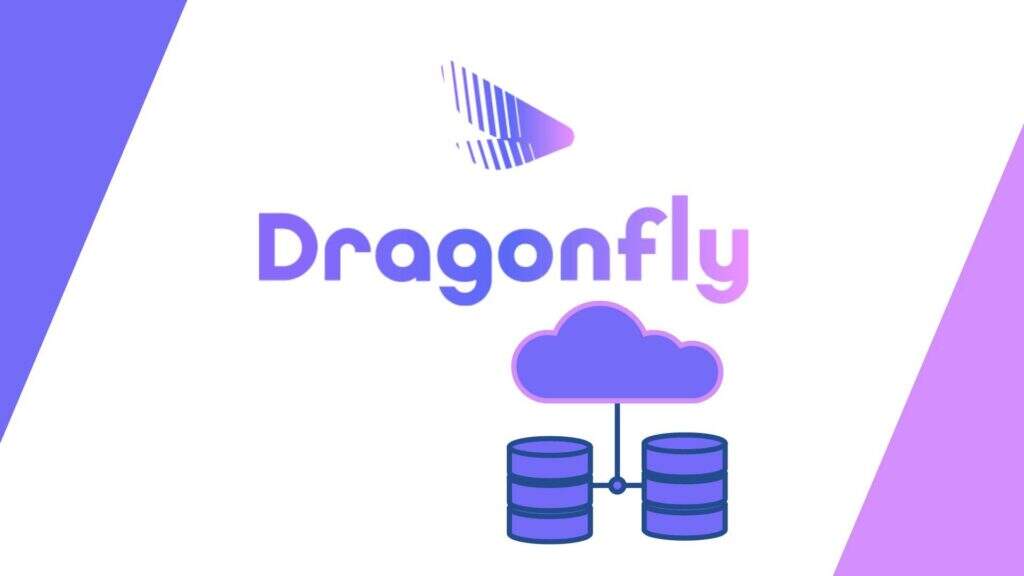 安装DragonflyDB内存数据存储以提升网站性能