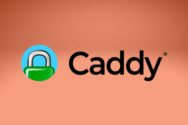 什么是Caddy Web服务器？特色图