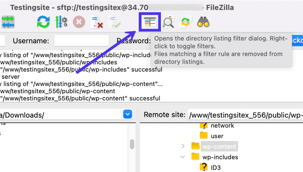 要过滤FileZilla中的文件，请单击目录列表对话框按钮