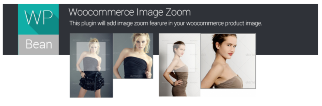 Product Image Zoom