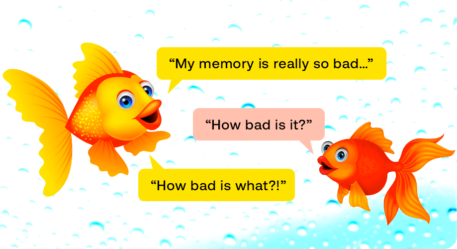 关于金鱼记忆清晰度的演示