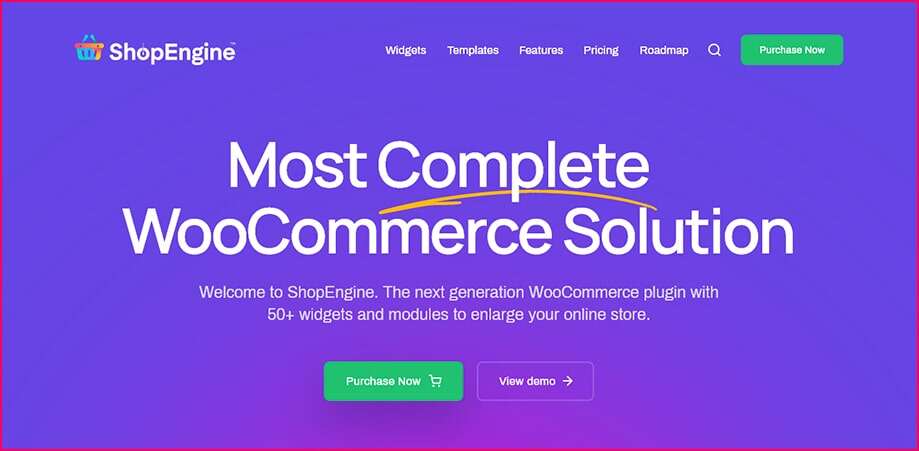 03_10-Tips-for-Running-a-Successful-WooCommerce-Shop-in-2021_Choose_a_Build_Theme_Plugin