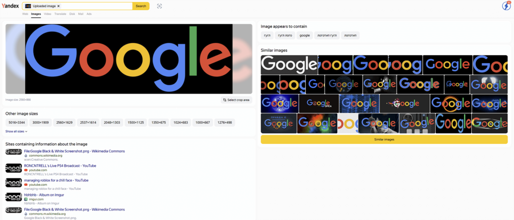Yandex以图搜图搜索结果截图