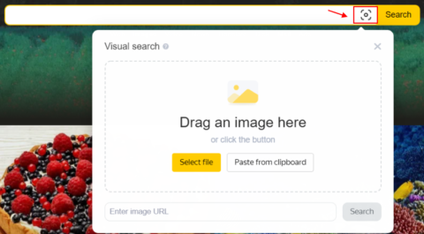 Yandex视觉搜索