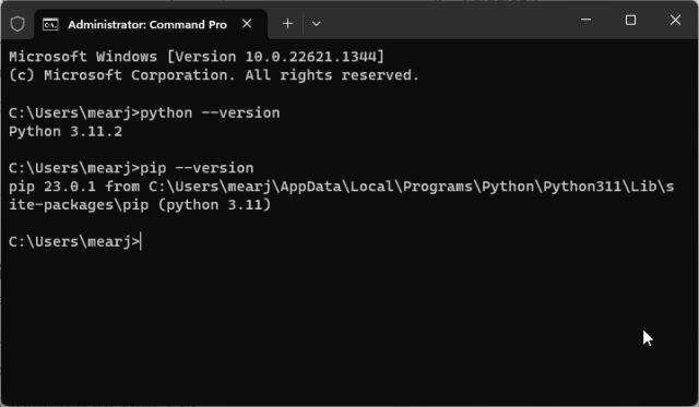 检查Python版本和验证Pip安装