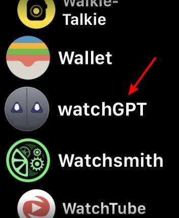 找到watchGPT