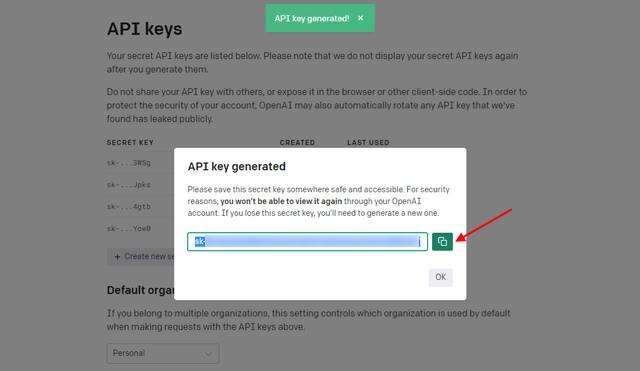 openAI API key