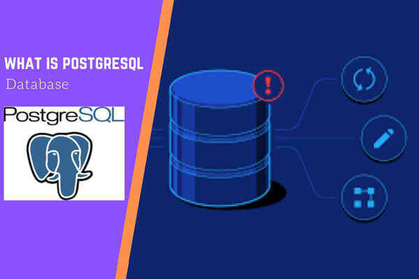 什么是PostgreSQL? 一个开源对象关系数据库特色图