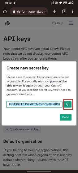 复制OpenAI的API密钥
