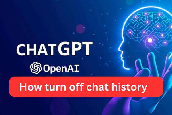 如何关闭ChatGPT中的聊天记录特色图