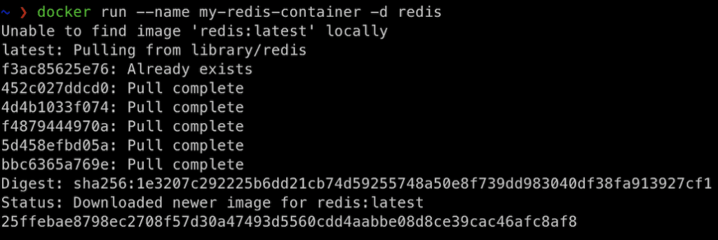 来自Docker Hub的Redis镜像被命名为my-redis-container