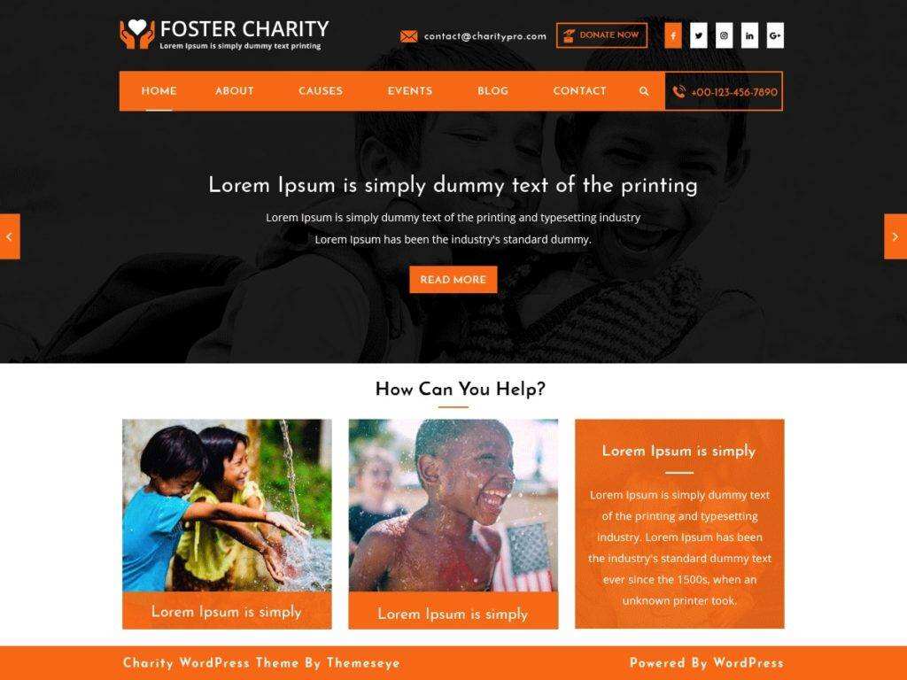 Foster charity 主题