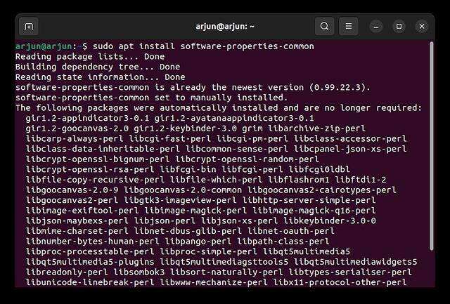 从 Deadsnakes PPA 在 Ubuntu 中安装 Python
