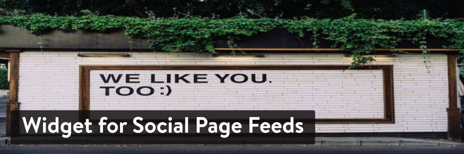 WordPress 插件 Widget for Social Page Feeds