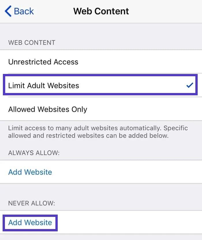 在 iOS 中限制网站访问