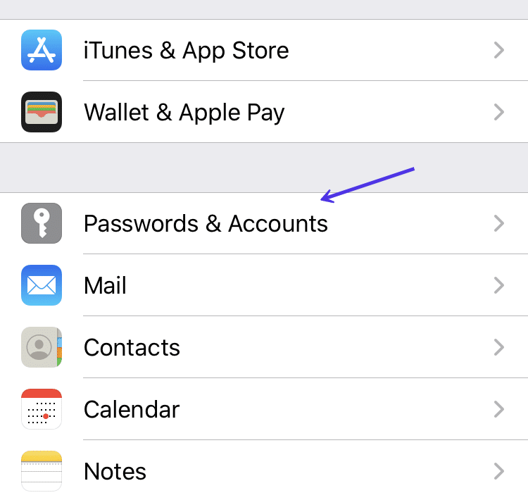 iOS 中的密码和账户选项