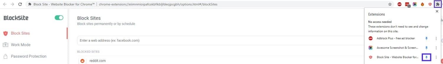 在 Chrome 浏览器中固定 BlockSite 扩展