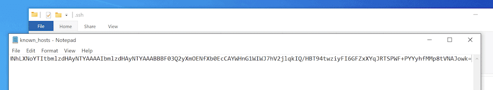 Windows 的 known_hosts 文件