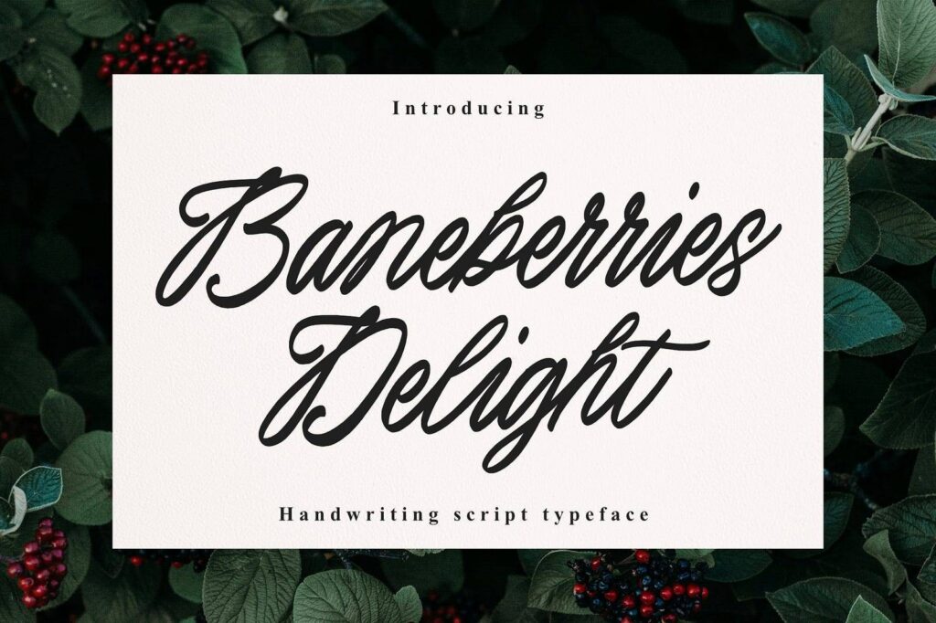 Baneberries Delight Font Baneberries Delight Font