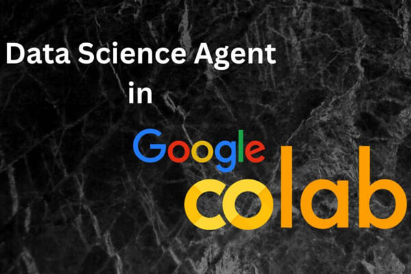 数据科学代理（Data Science Agent）